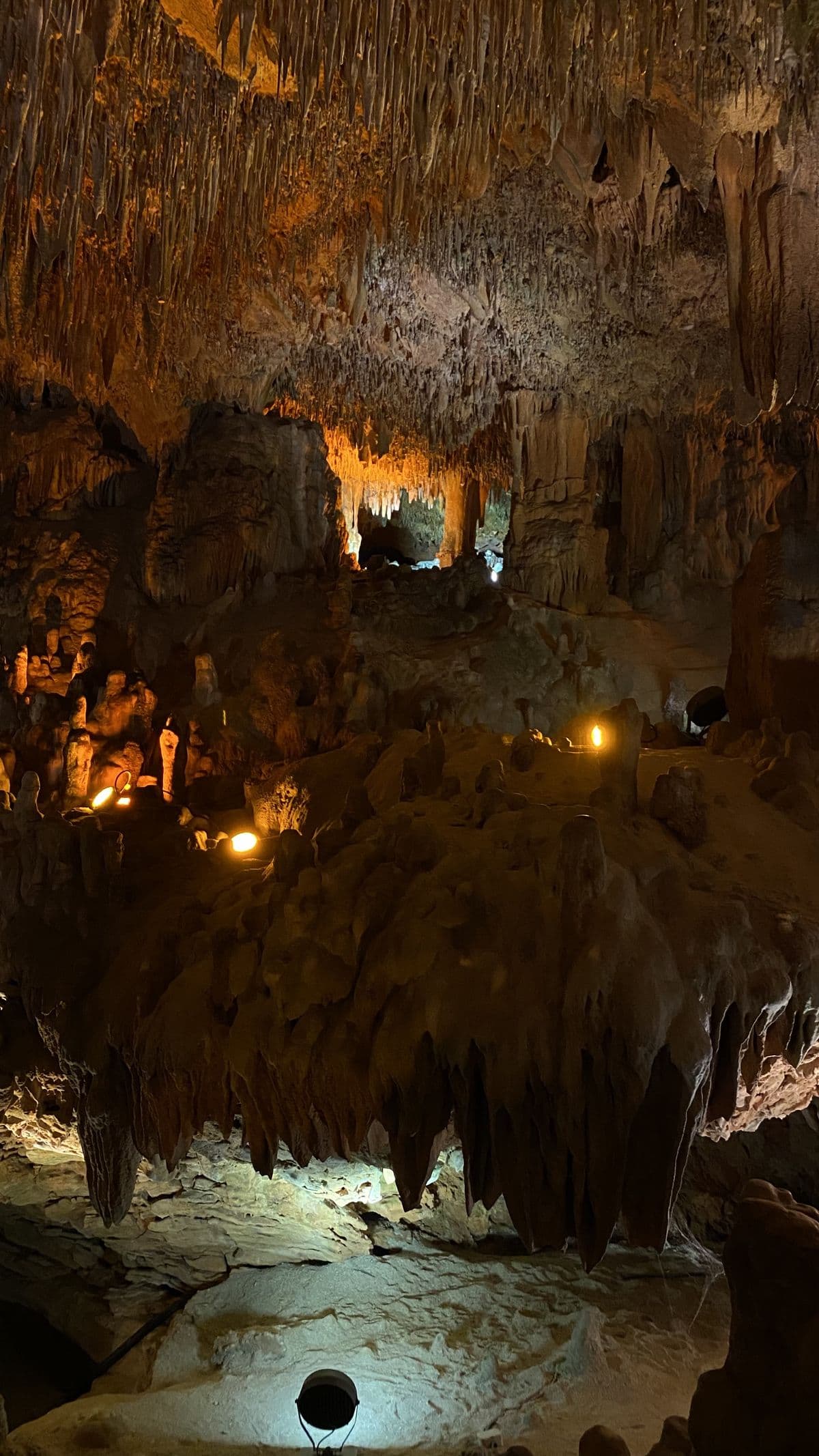 Private 3-Day Hiking Adventure in Bahariya Oasis & Gara Cave - image 4
