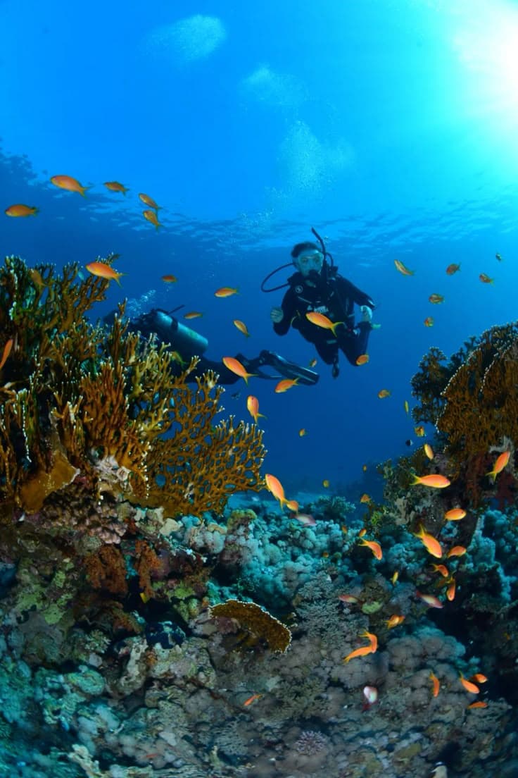 Dahab Safari from Sharm El-Sheikh: Canyon Salama & Blue Hole